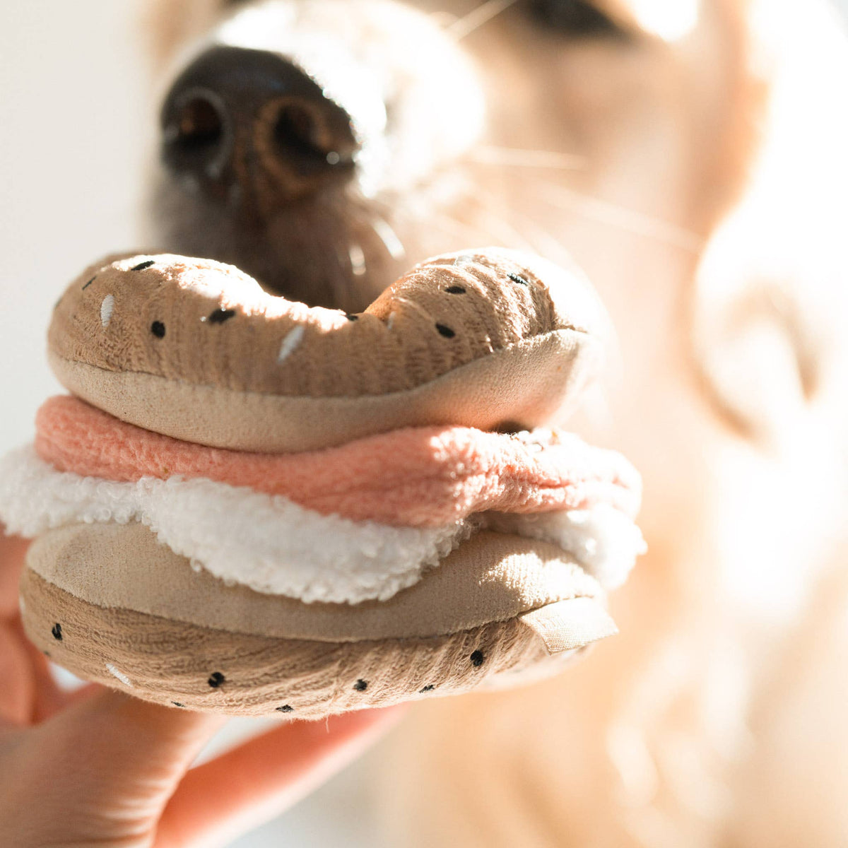 Set gioco per cani BAGEL & CUCUMBER – Lambwolf Collective