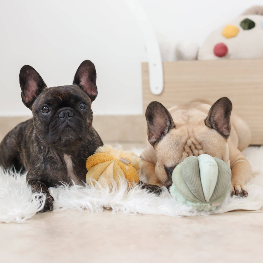 Beschäftigungsspielzeug für Hunde TOTO Small Grün – Lambwolf Collective