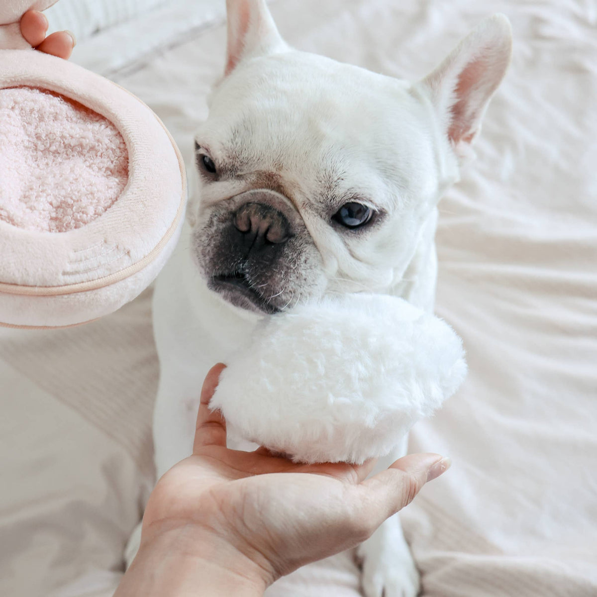 Gioco olfattivo per cani BLUSH – Lambwolf Collective