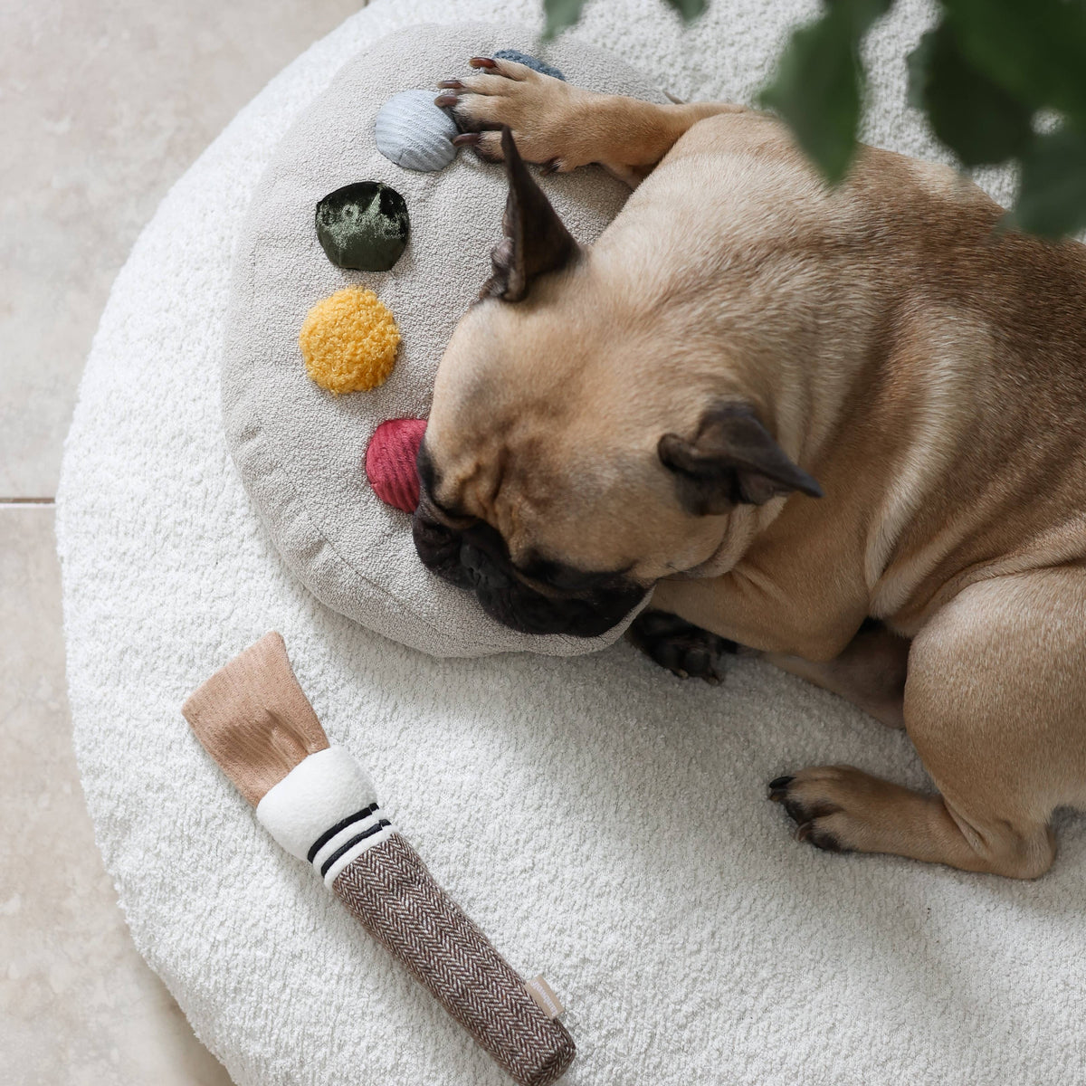 Gioco educativo per cani COLOR PALETTE – Lambwolf Collective