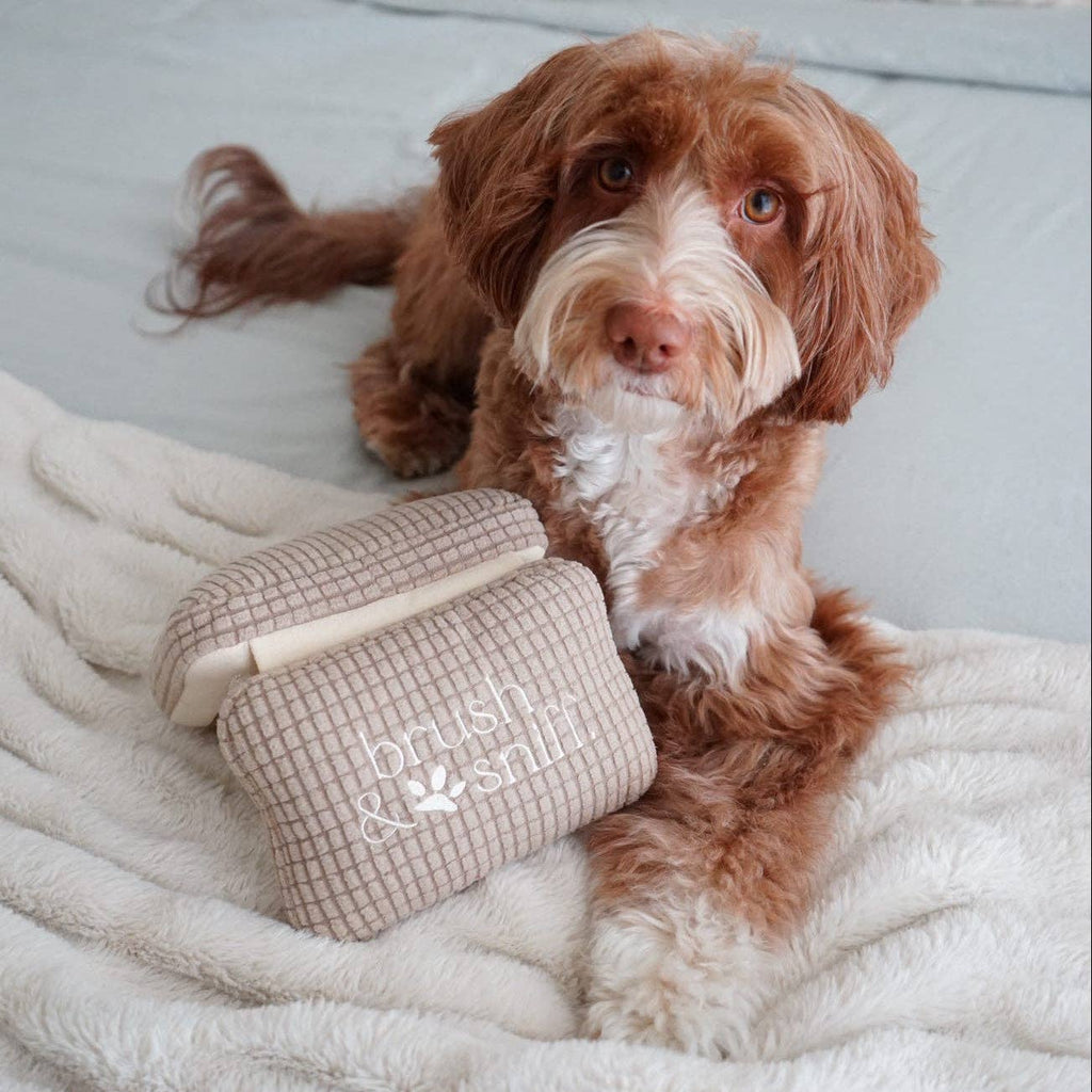 Gioco olfattivo per cani HIGHLIGHTER & BRUSH – Lambwolf Collective