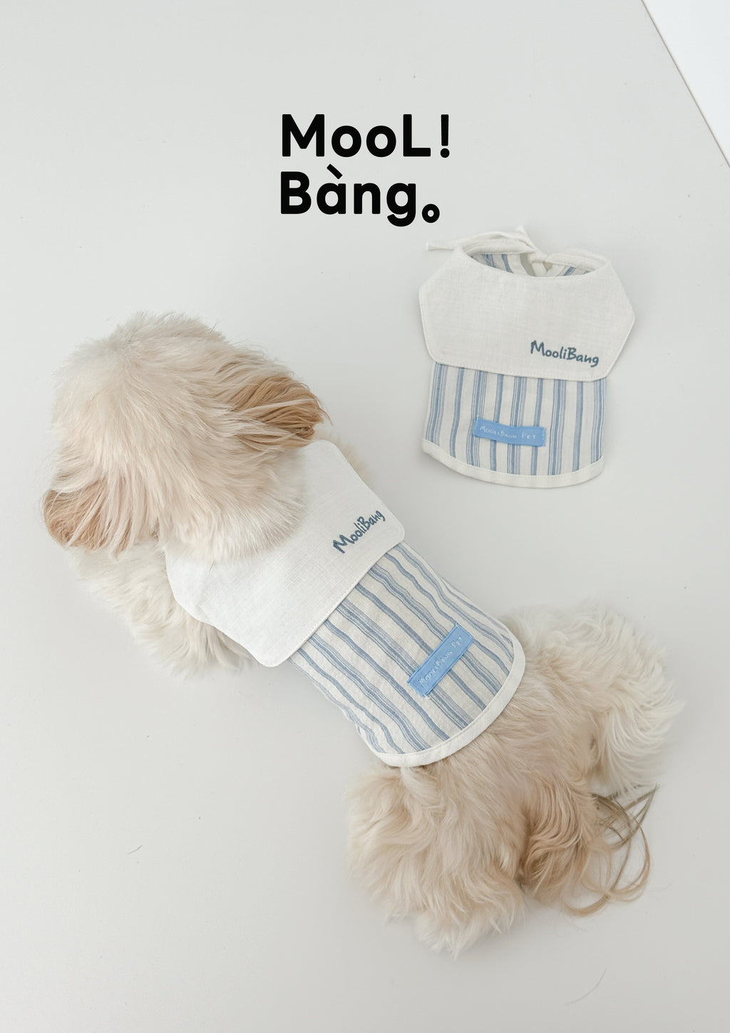 "Sea Breeze Blowing" Dog Sweater
