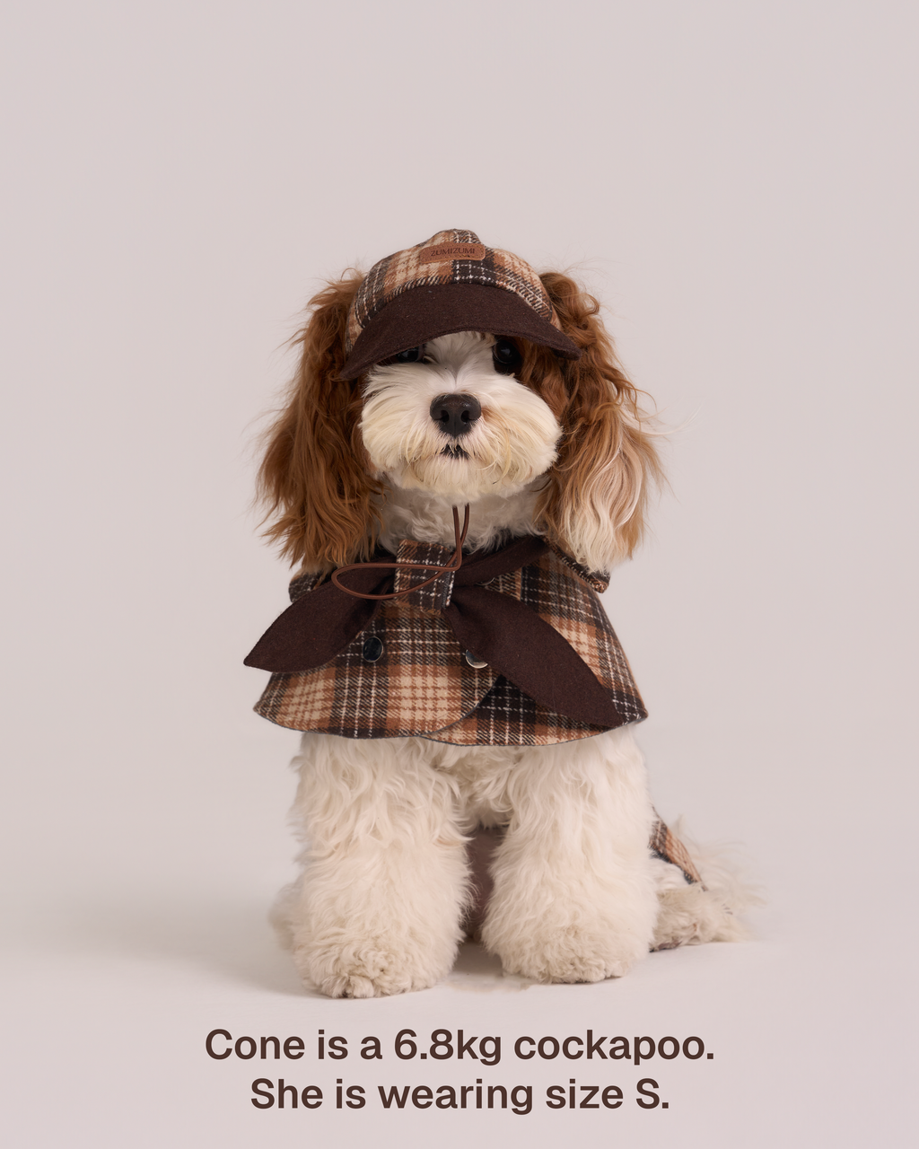 Sherlock Dog Cape