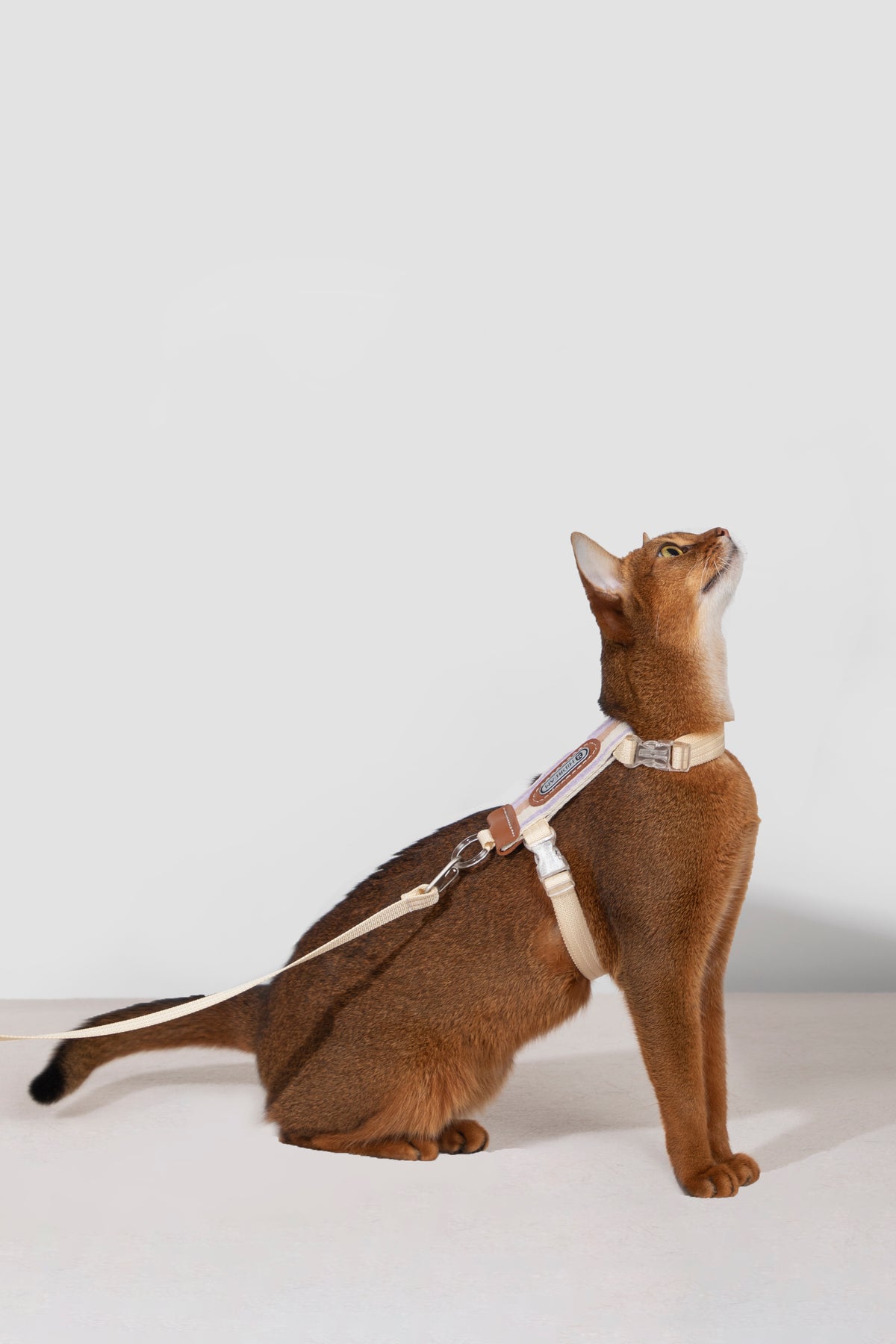 Katzengeschirr- und Leinen-Set – gestreift