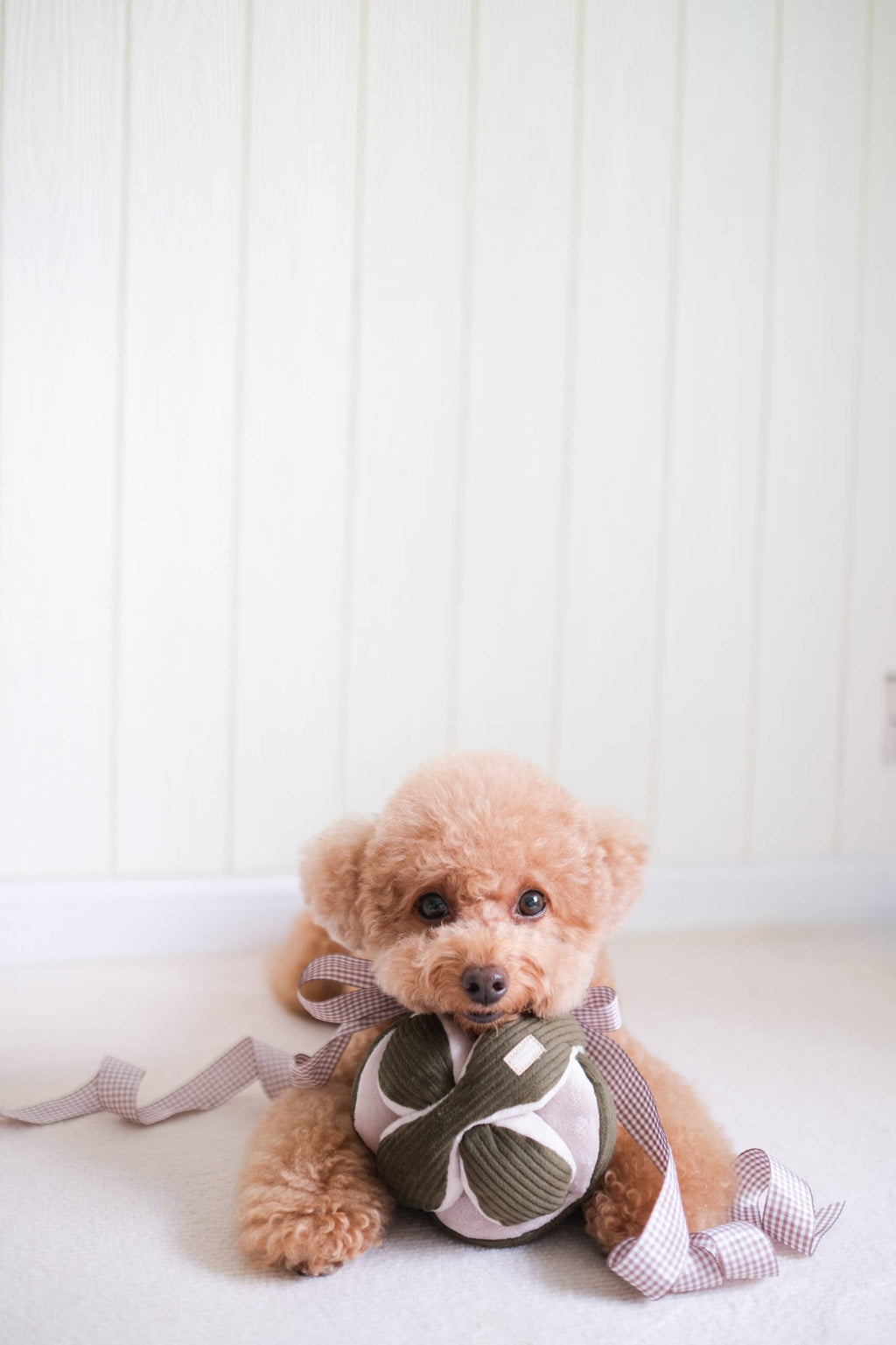 Dog Snuffle Toy MONTI Mint – Lambwolf Collective