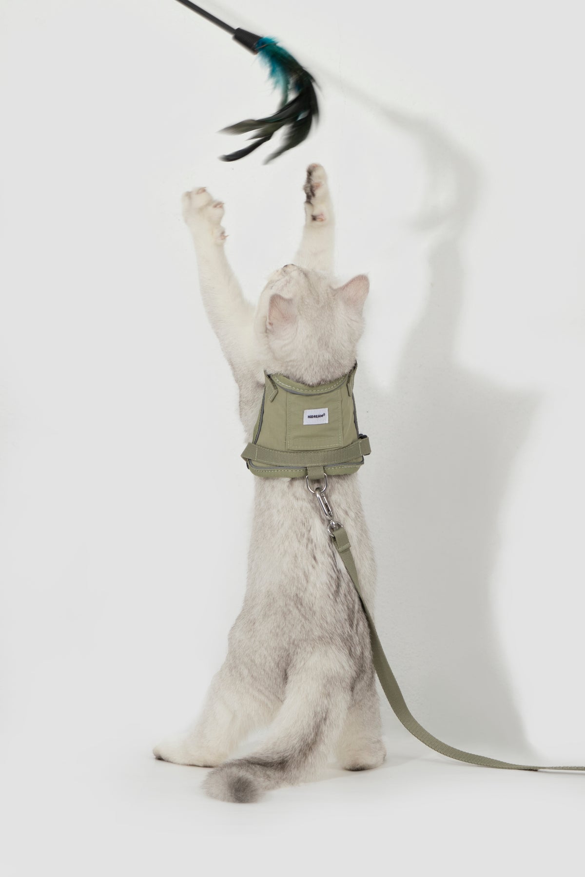 Katzengeschirr und Leine