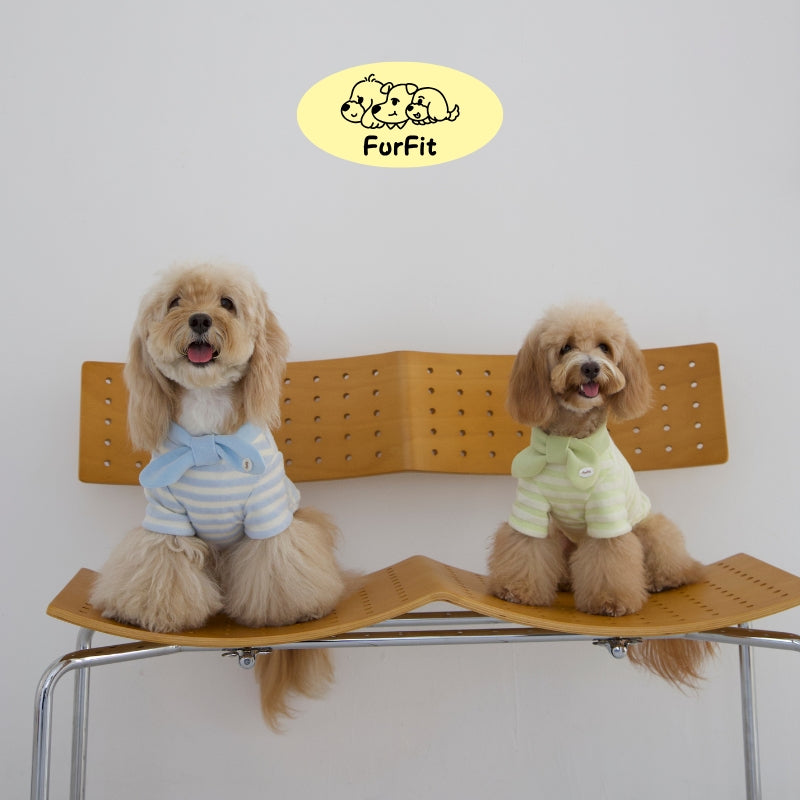 Hunde-Kapuzenpullover „Puff Stripe Bow“