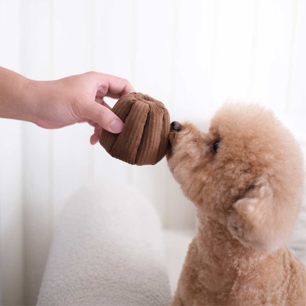 Gioco olfattivo con squeaker per cani CANELÉ – Lambwolf Collective