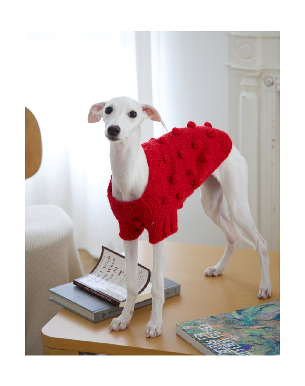 Hundepullover „Soft Wool Handmade“