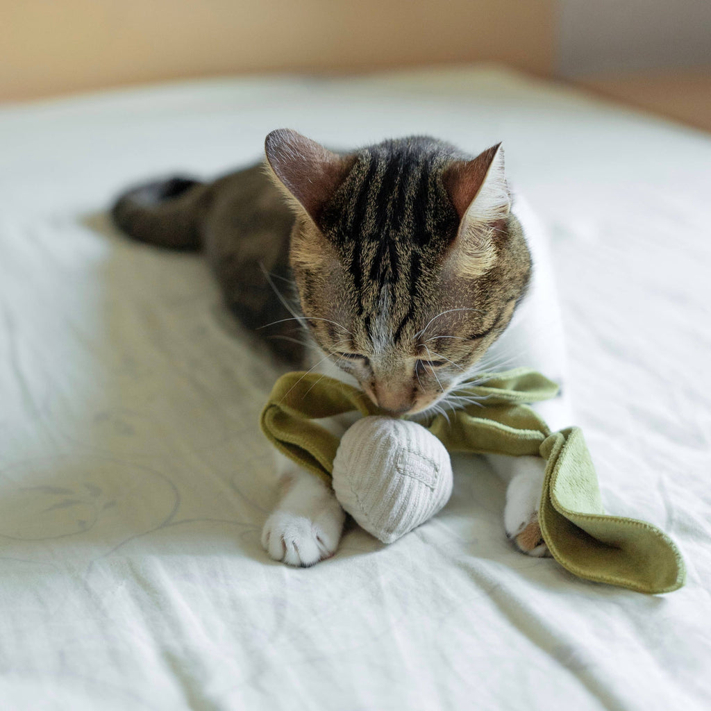 Gioco con erba gatta KITTY RADISH Beetroot – Lambwolf Collective