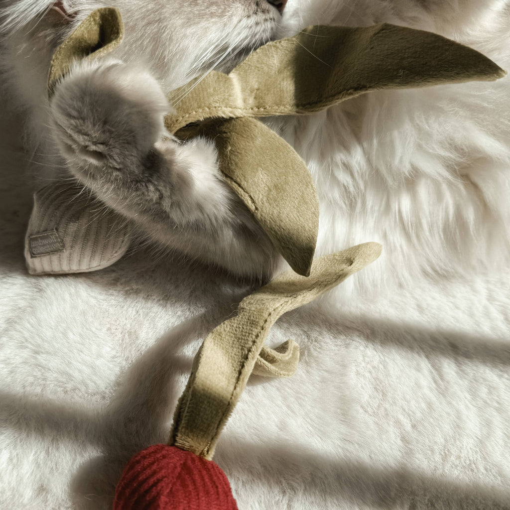 Gioco con erba gatta KITTY RADISH Beetroot – Lambwolf Collective