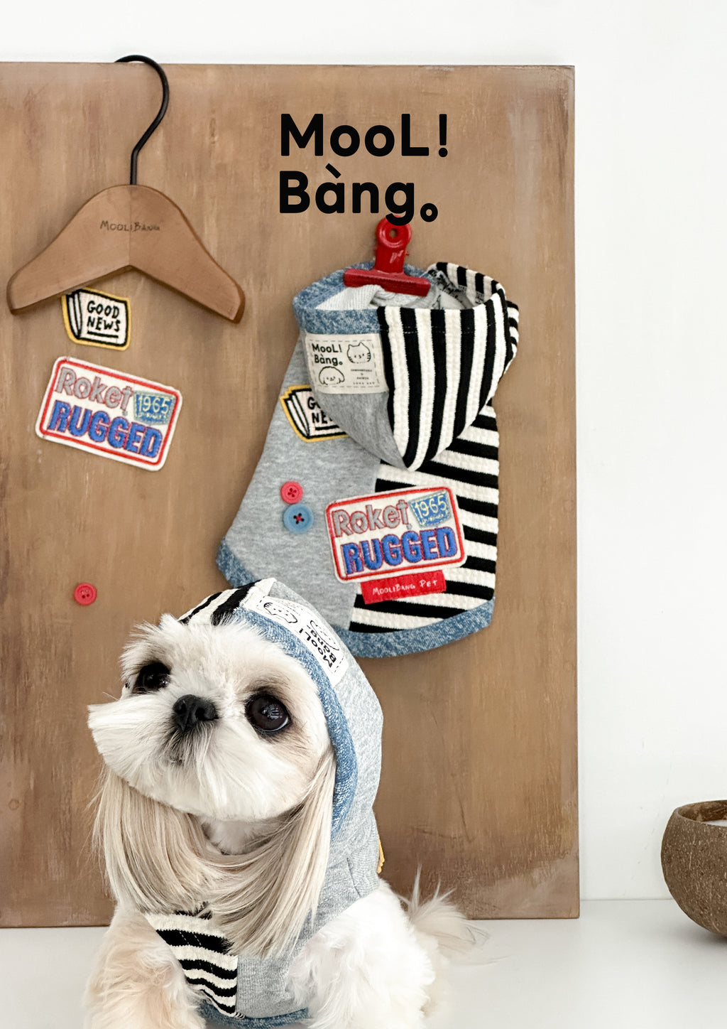 "Macco Club" Dog Hoodie