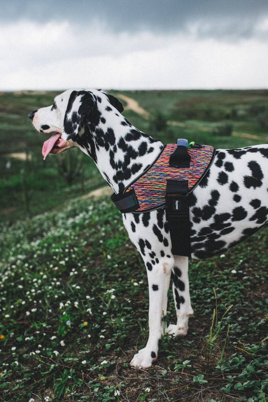 Pettorina con maniglia FlyHarness Vortex – Zee.Dog