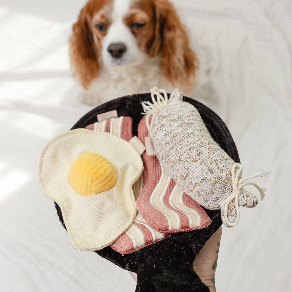 Bfast Set // ANREICHENDES HUNDESPIELZEUG