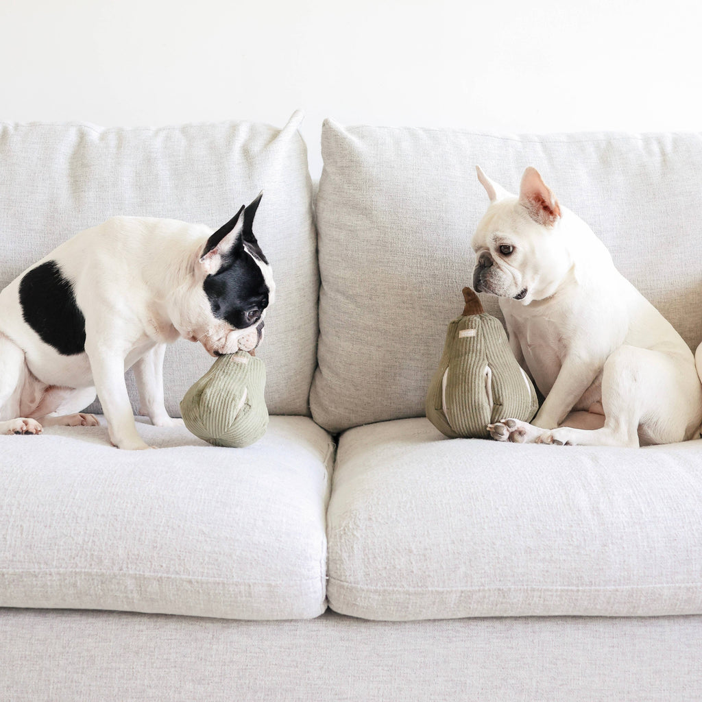 Beschäftigungsspielzeug für Hunde BUTTERNUT, Größe L – Lambwolf Collective