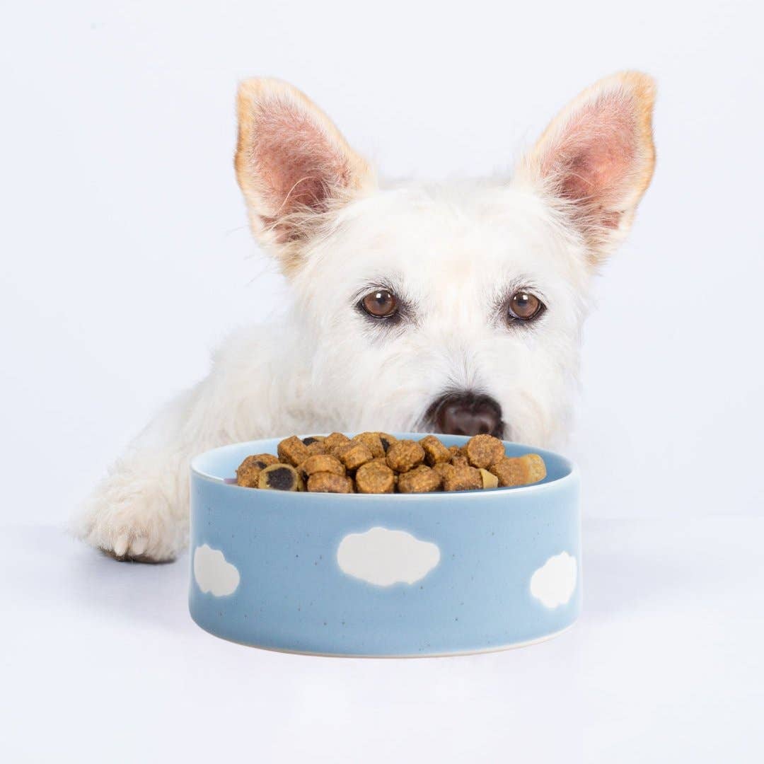 Set 2 ciotole per animali Nuvola 14 cm – Egg Back Home