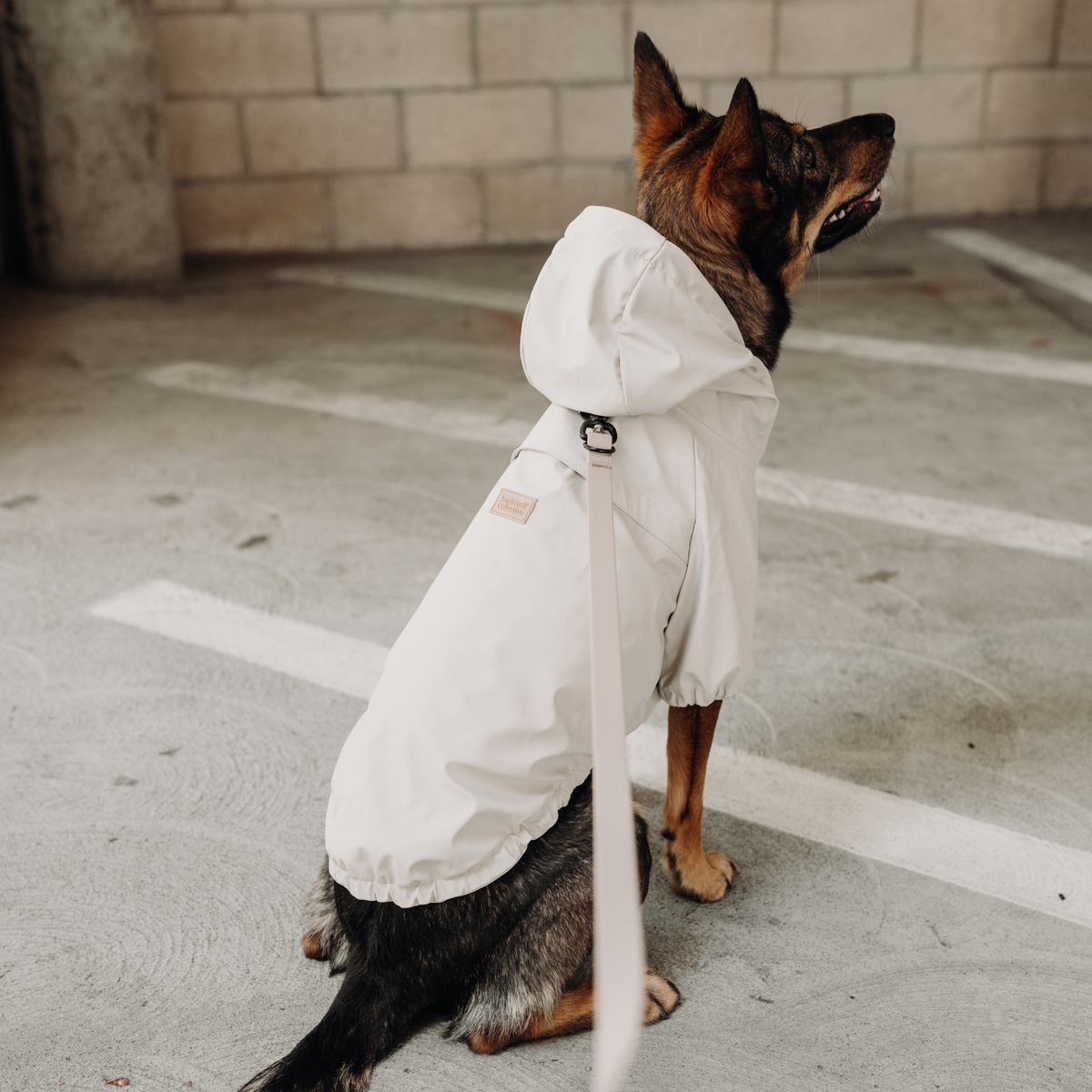 Impermeabile Pieghevole BRIGHTON, Taglia XL – Lambwolf Collective