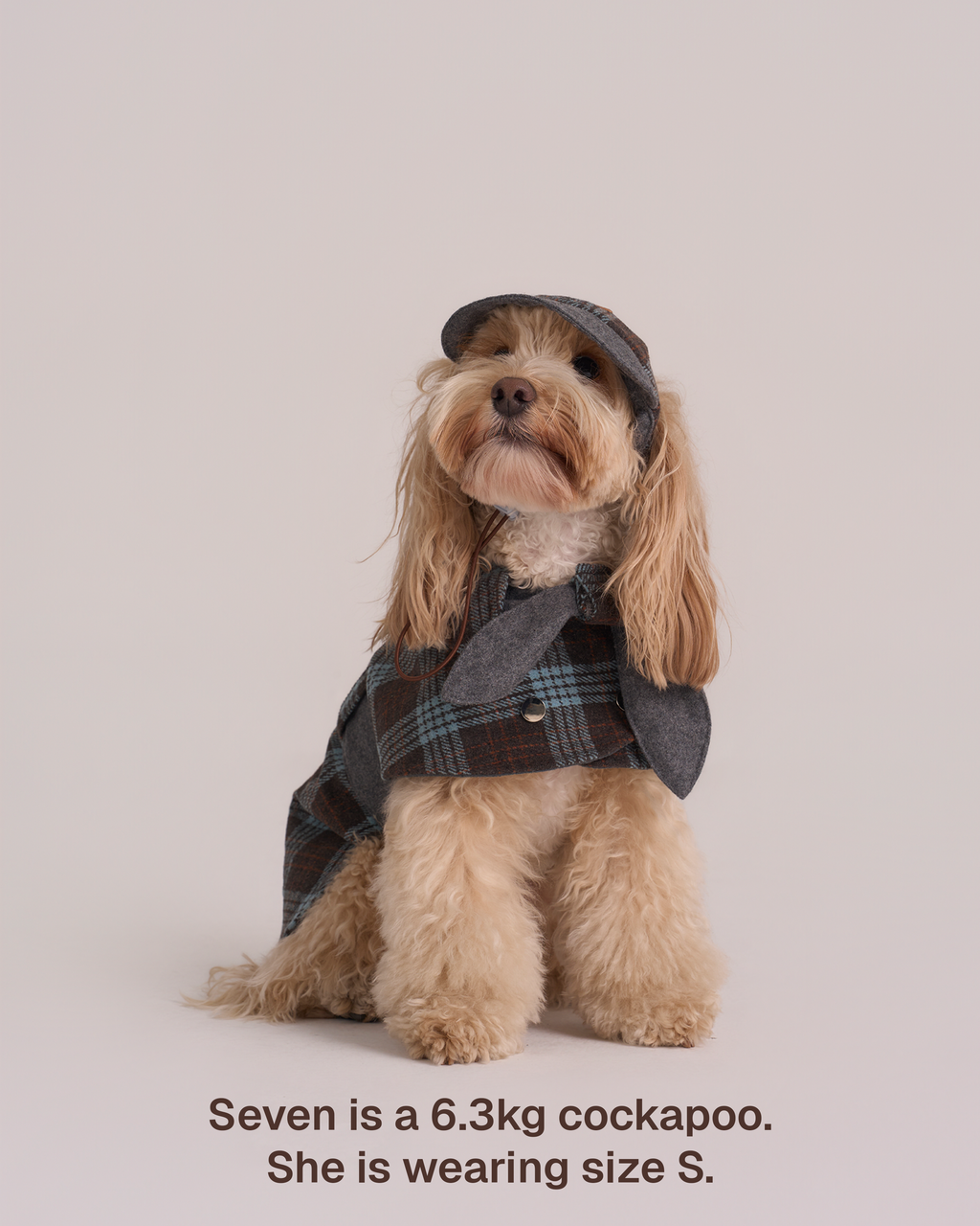 Sherlock Dog Cape