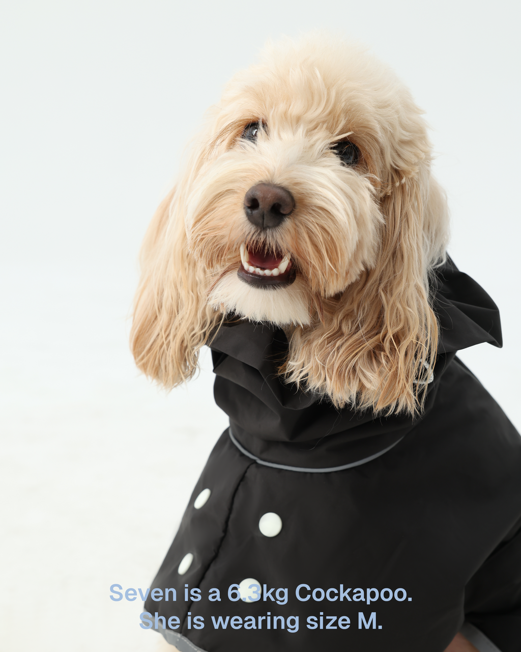 Regenjacke für Hunde Heath – Zumizumi