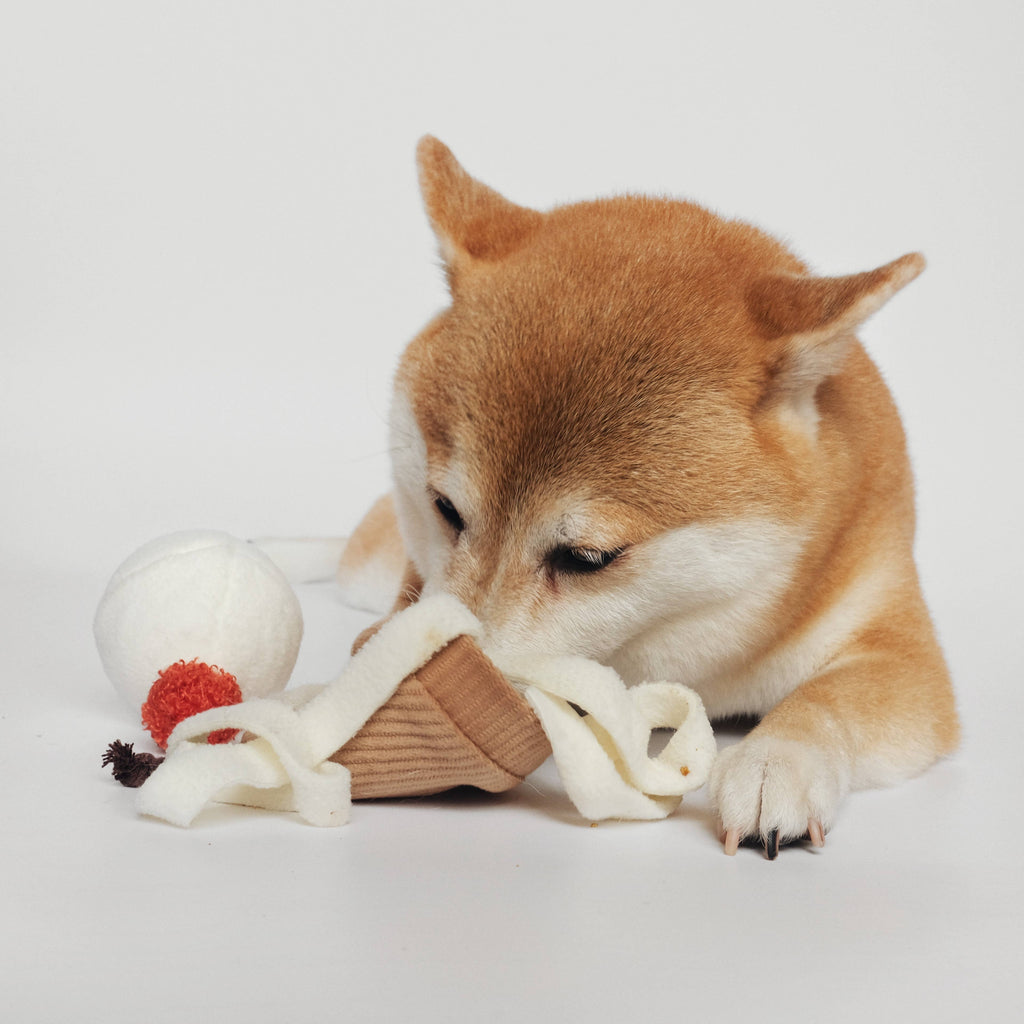 ICE CREAM POP enrichment game with toy ball