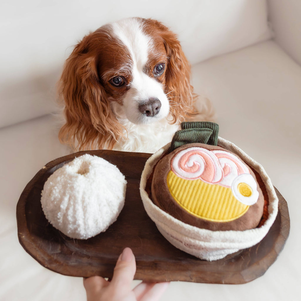 Gioco interattivo per cani RAMEN – Lambwolf Collective