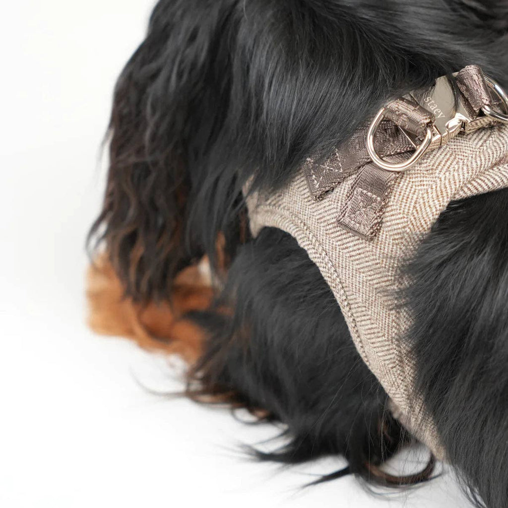 Hundegeschirr Step-In Saga | Mokka: M