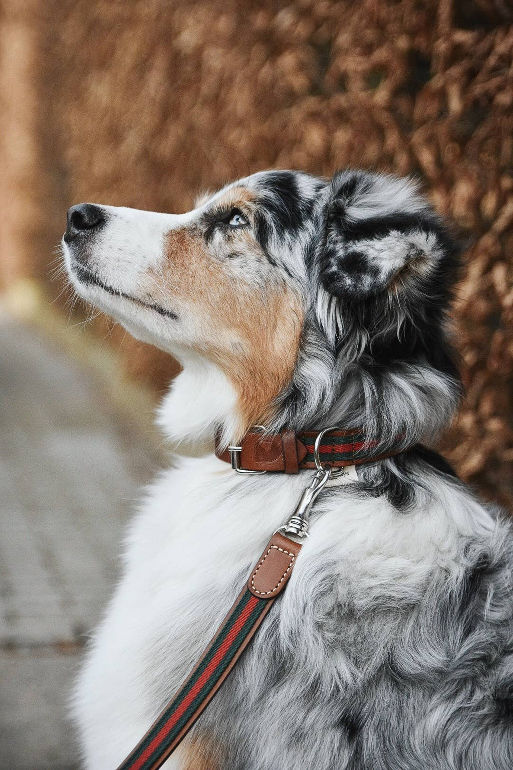 Guinzaglio Baseball Green – Buddys Dogwear