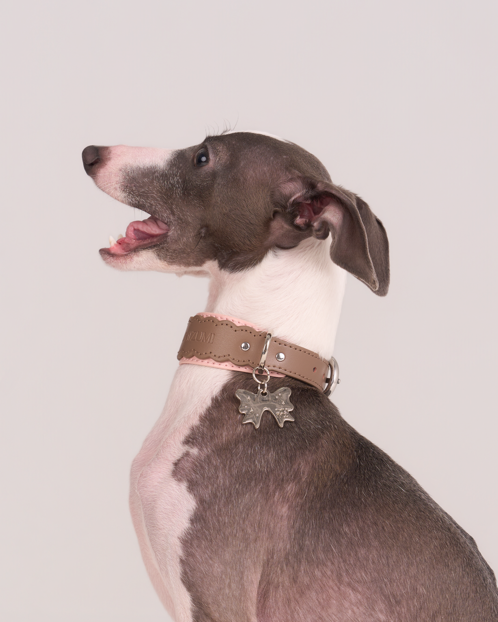 Lederhalsband Mayfair Scalloped – Zumizumi