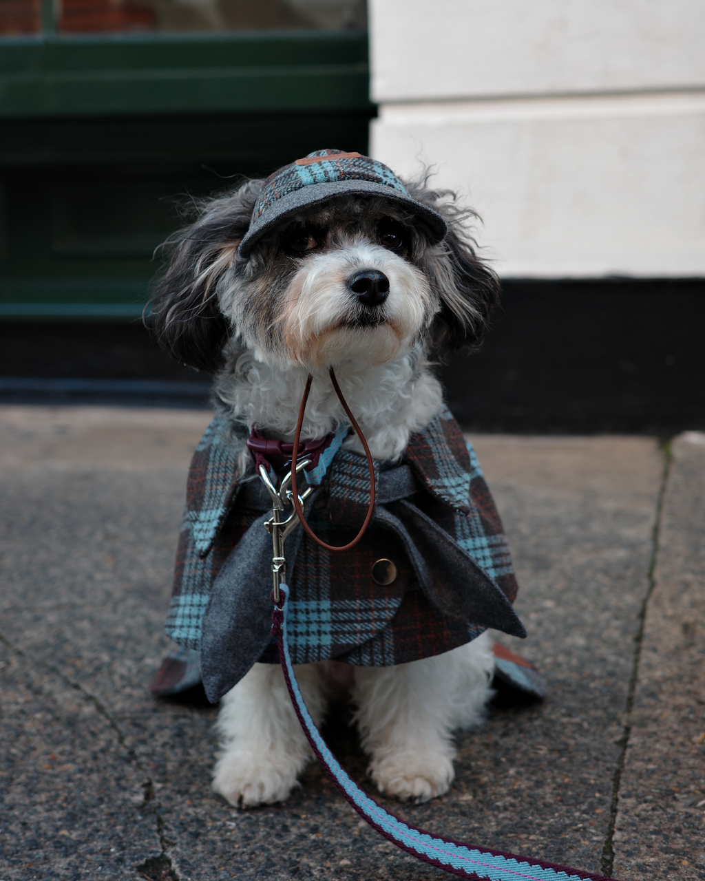 Sherlock Dog Cape