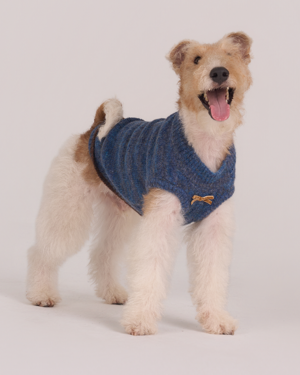Oxford Knit Vest