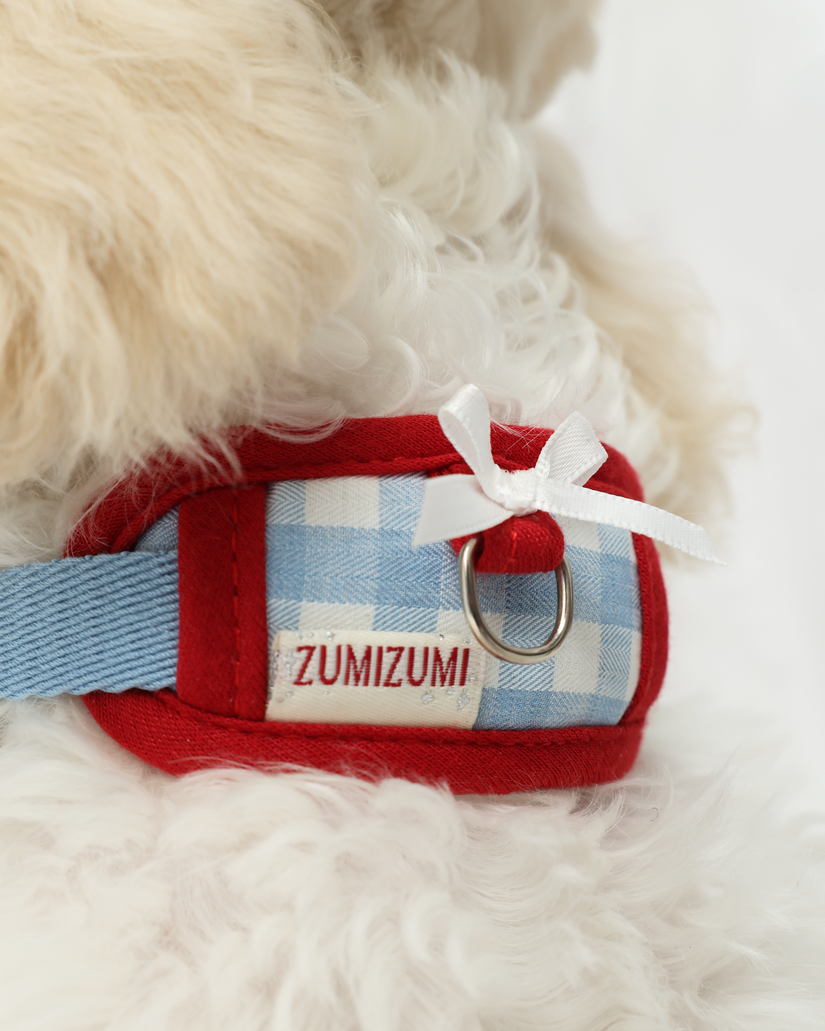 Collare Chelsea Everyday Blu/Rosso – Zumizumi