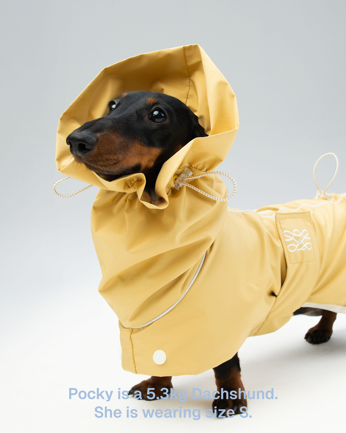 Regenjacke für Hunde Heath – Zumizumi