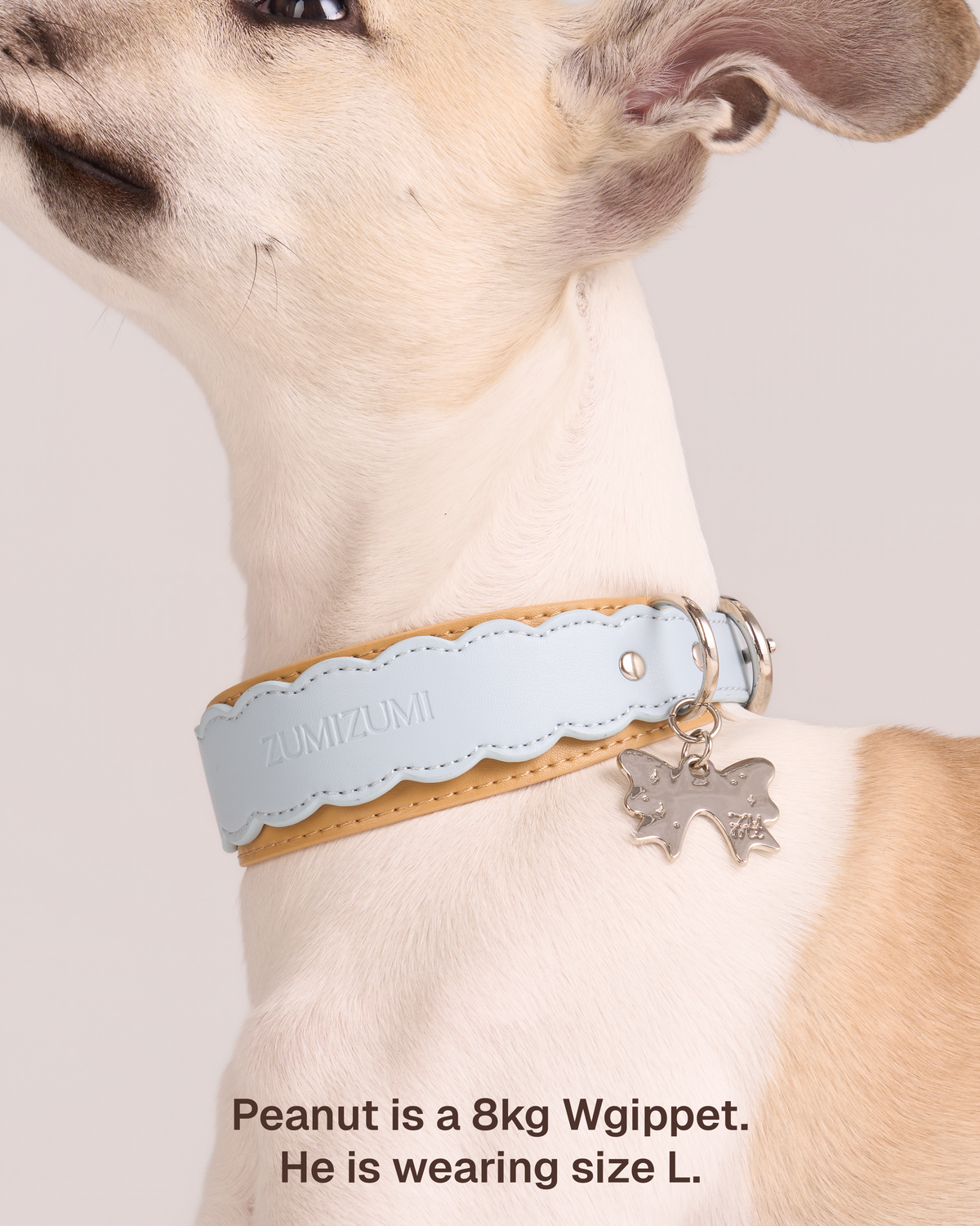 Lederhalsband Mayfair Scalloped – Zumizumi