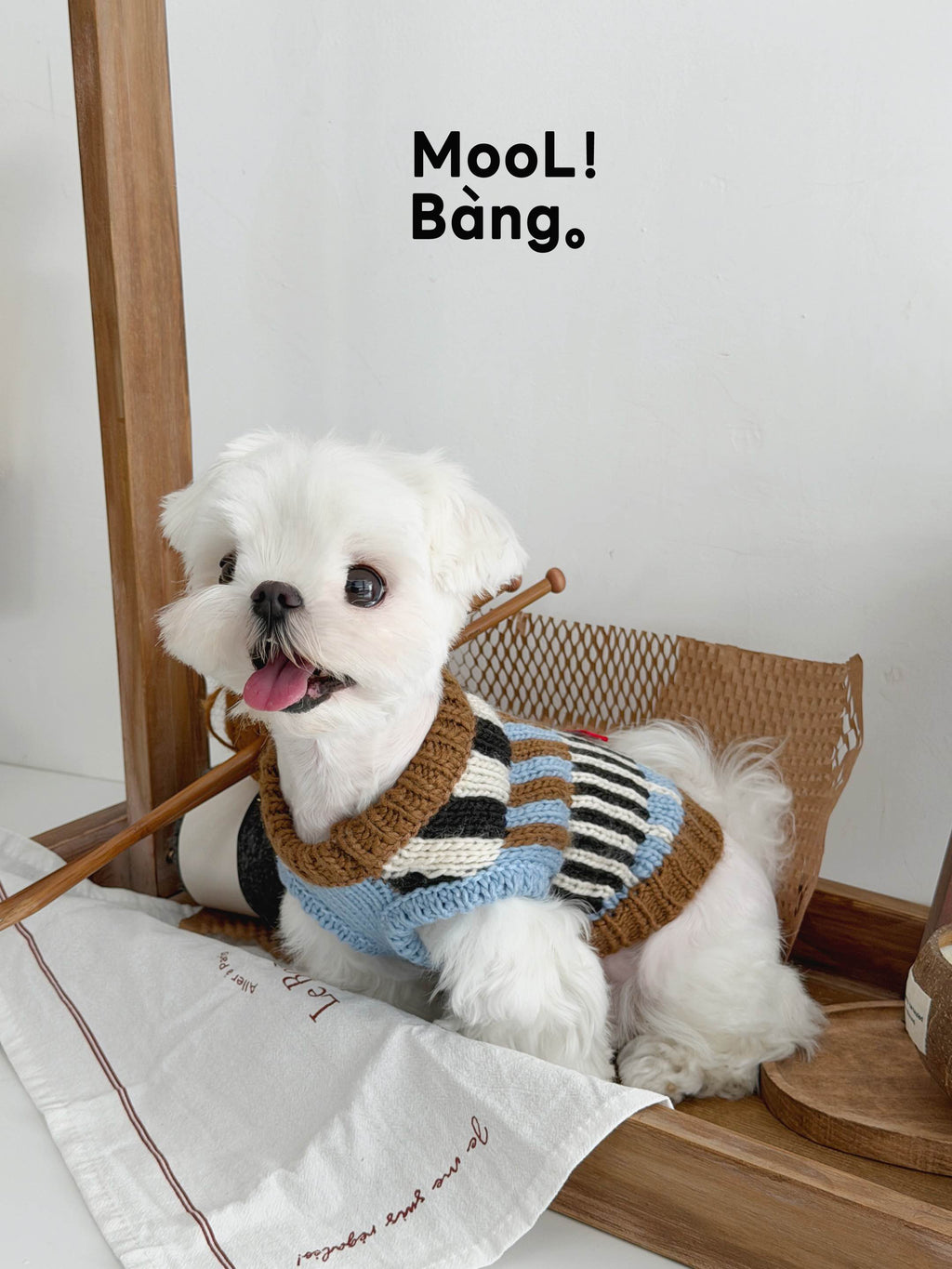 "Sea Salt Cannelés" Dog Sweater