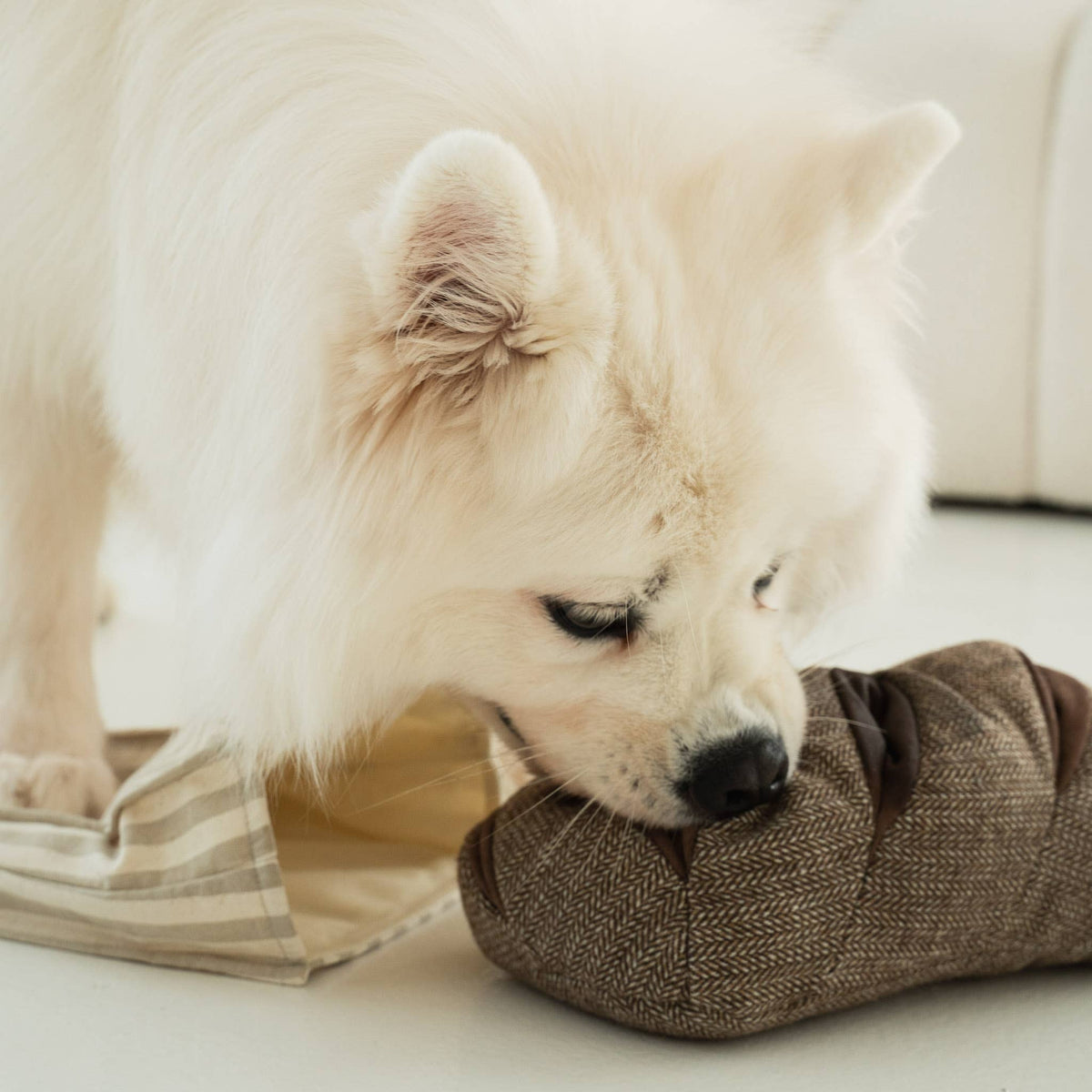 RYE - Lernspielzeug für Hunde
