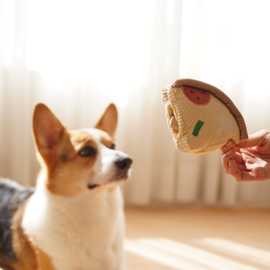 Hundespielzeug „Deep Dish Pizza“ zur Bereicherung