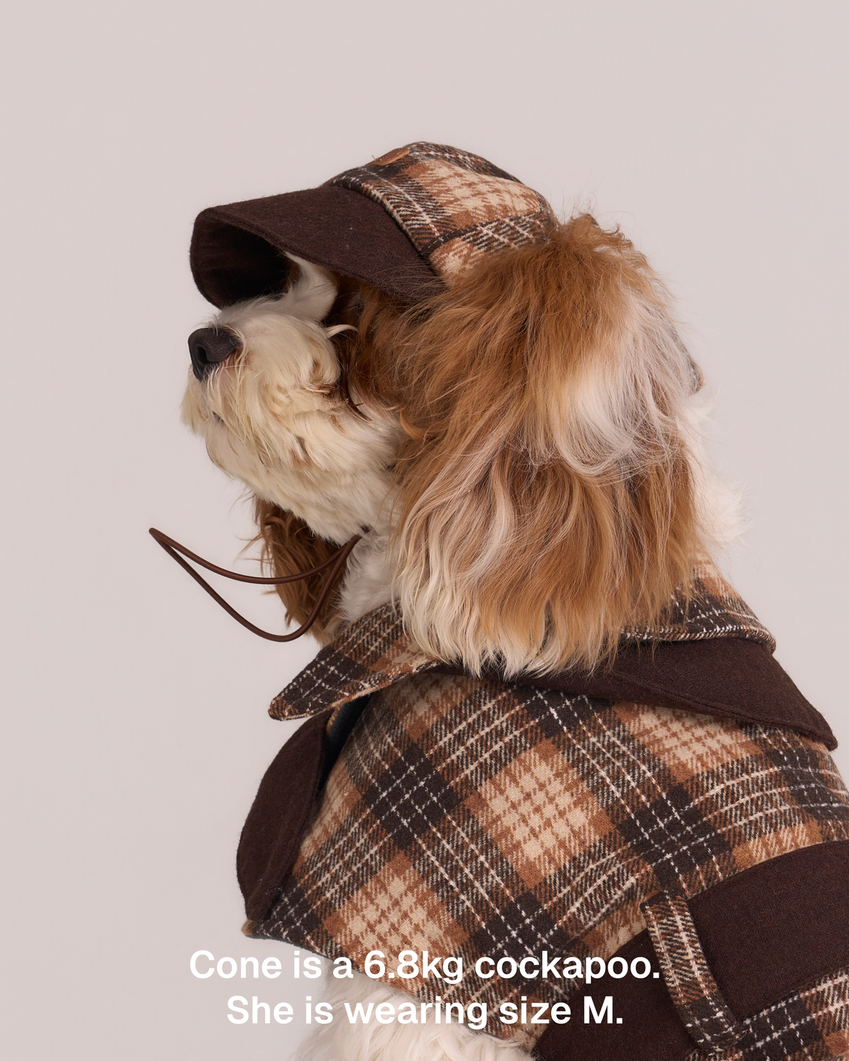 Sherlock Dog Cape