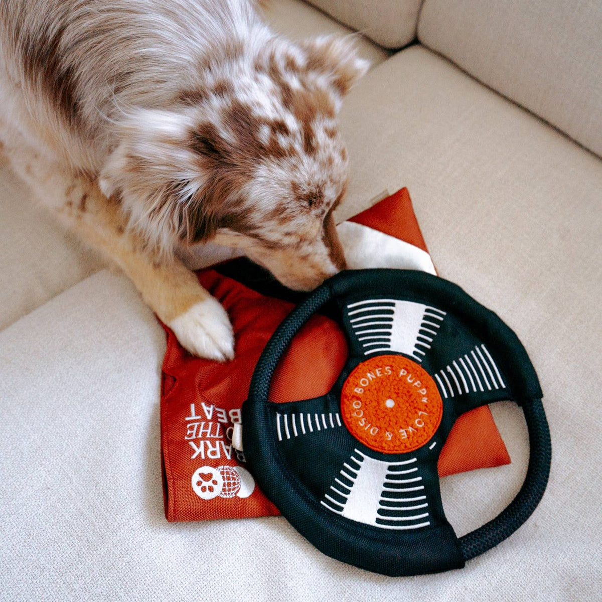 Gioco di arricchimento per cani BARK TO BEAT – Lambwolf Collective