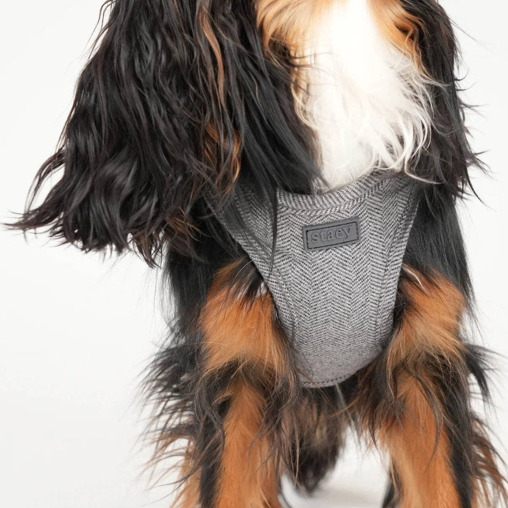 Step-In Hundegeschirr Saga | Dust Blue: M
