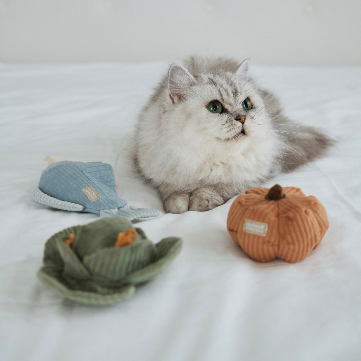 Gioco con erba gatta KITTY VEGGIE SET – Lambwolf Collective