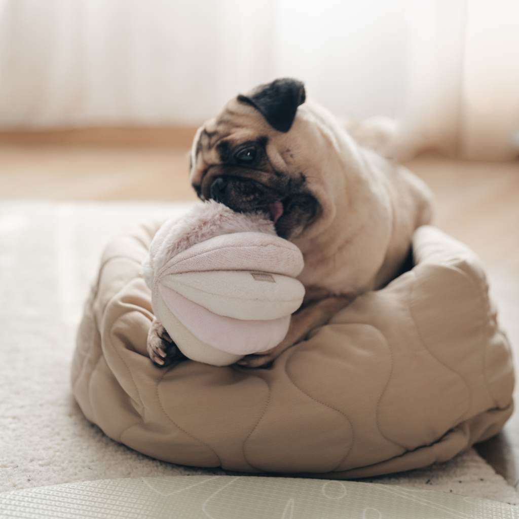Schnüffelspielzeug für Hunde TOTO Rosa – Lambwolf Collective