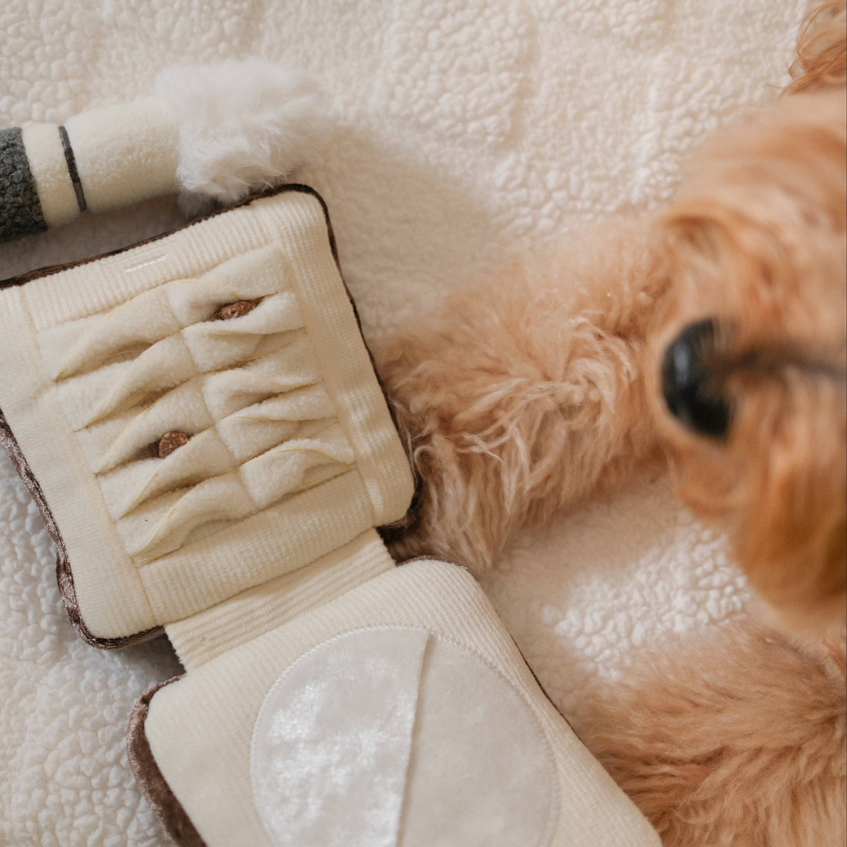 Gioco olfattivo per cani HIGHLIGHTER & BRUSH – Lambwolf Collective