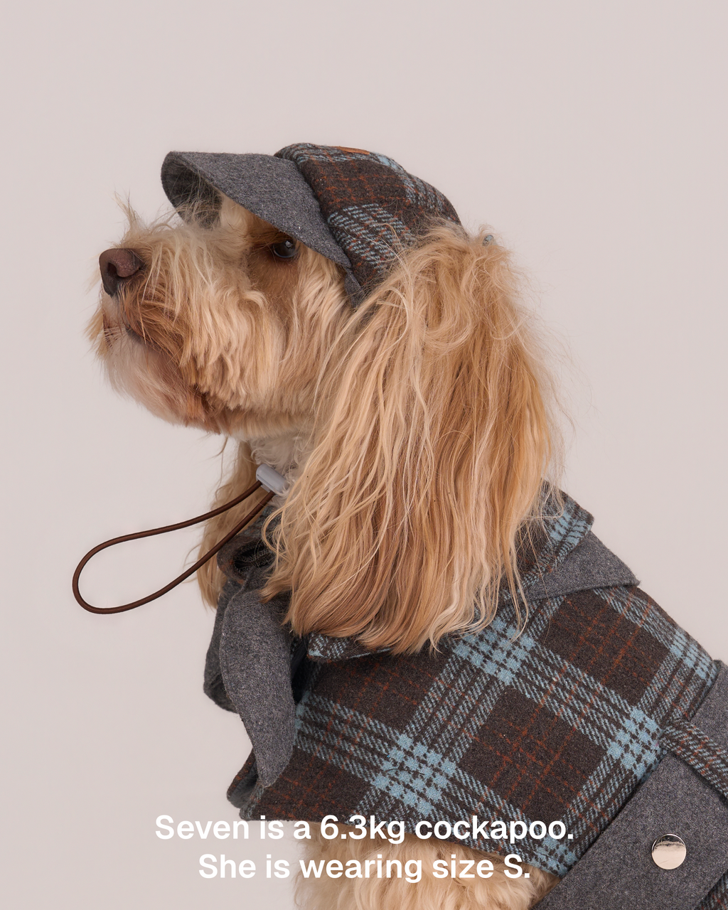 Sherlock Dog Cape