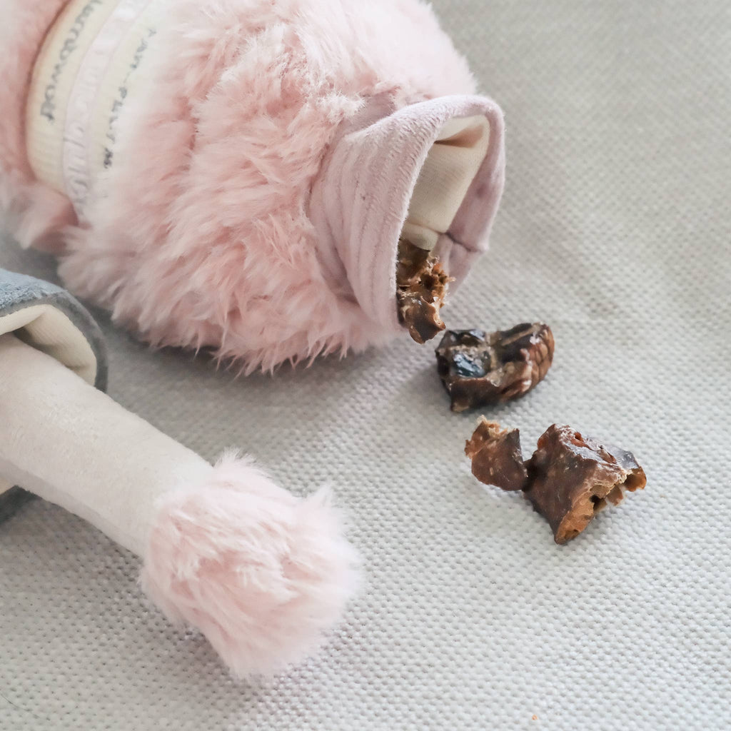 Gioco olfattivo per cani NAIL POLISH – Lambwolf Collective