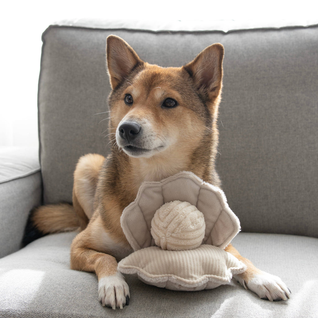 Gioco di arricchimento per cani OYSTER POP – Lambwolf Collective