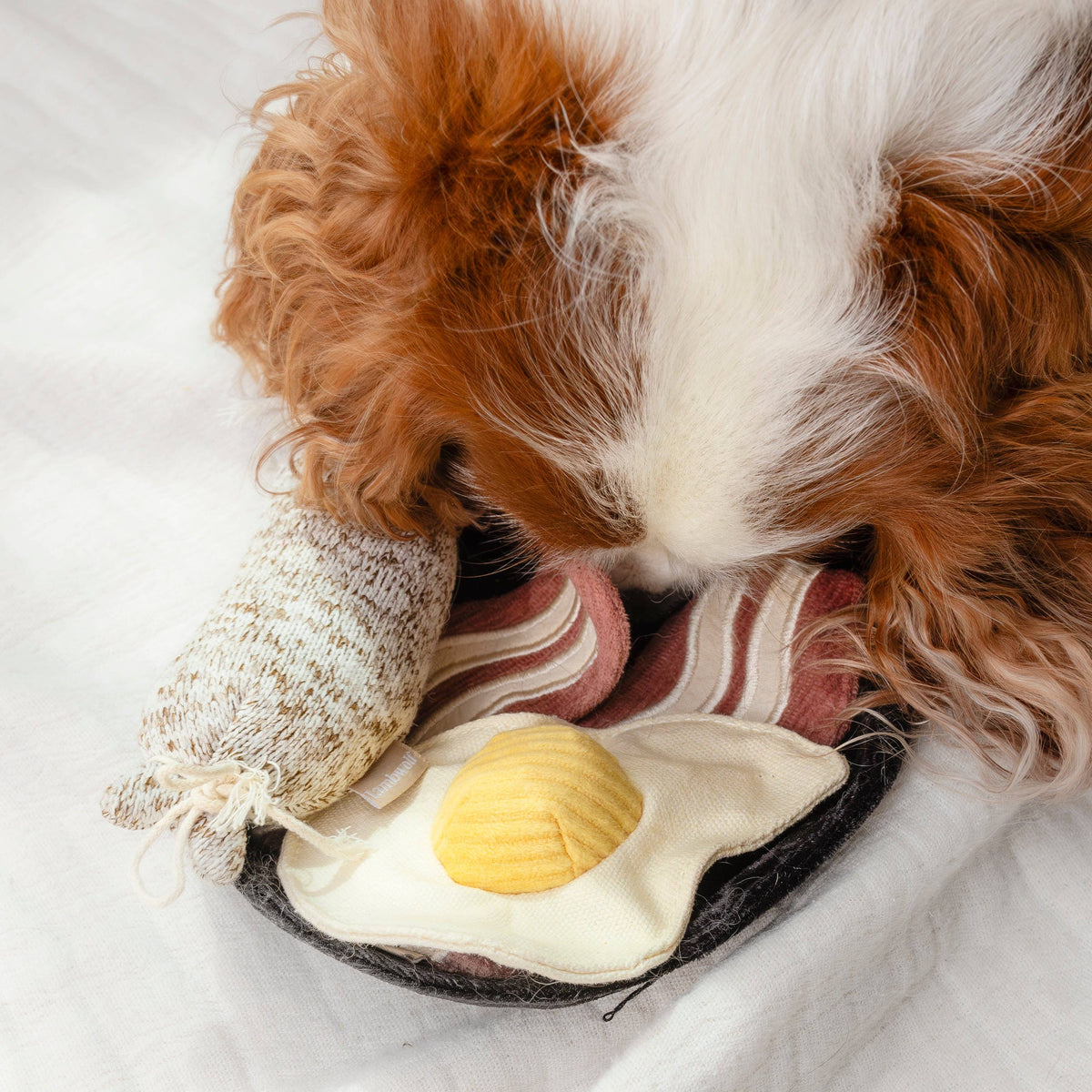 Gioco di arricchimento per cani BFAST SET – Lambwolf Collective