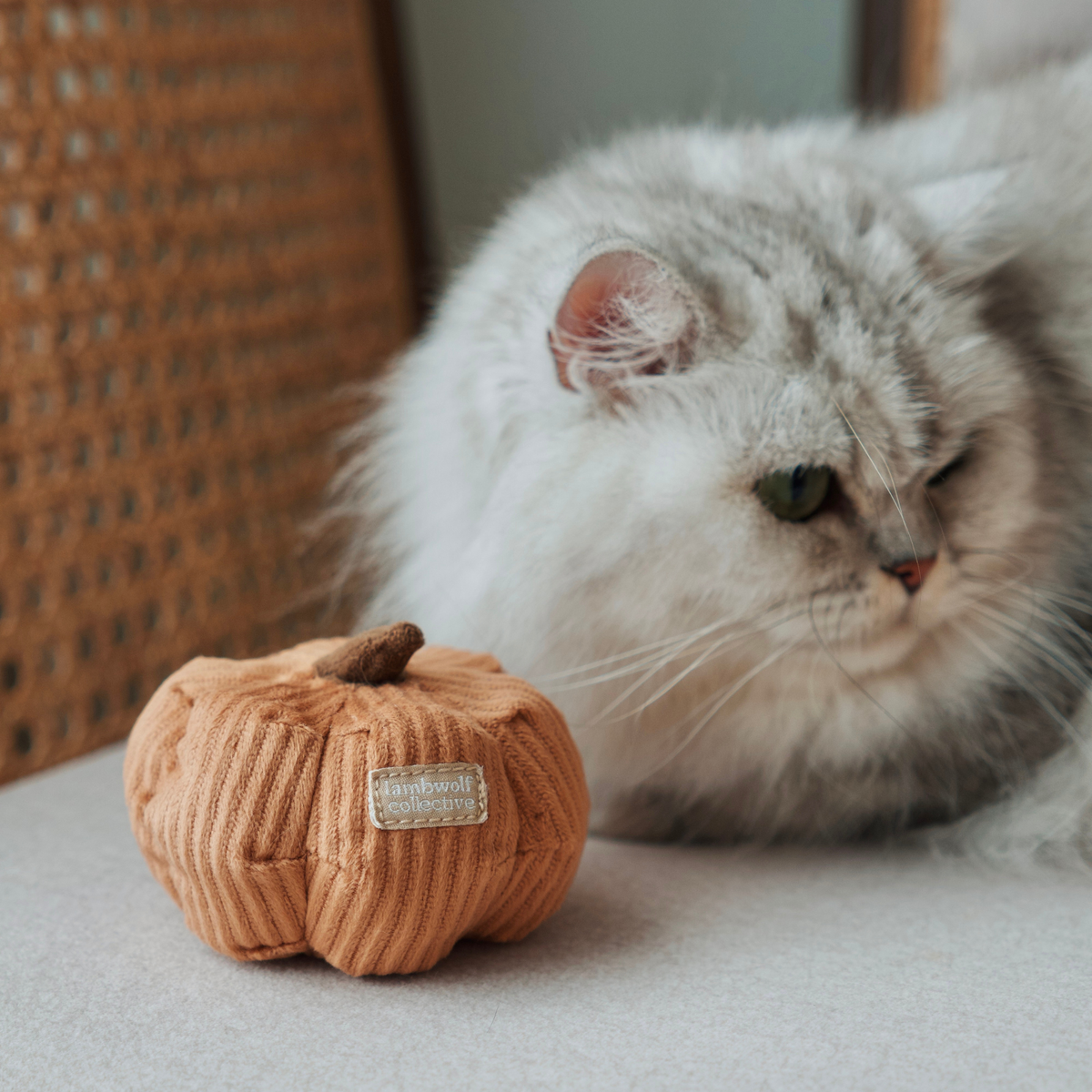 Gioco con erba gatta KITTY VEGGIE SET – Lambwolf Collective