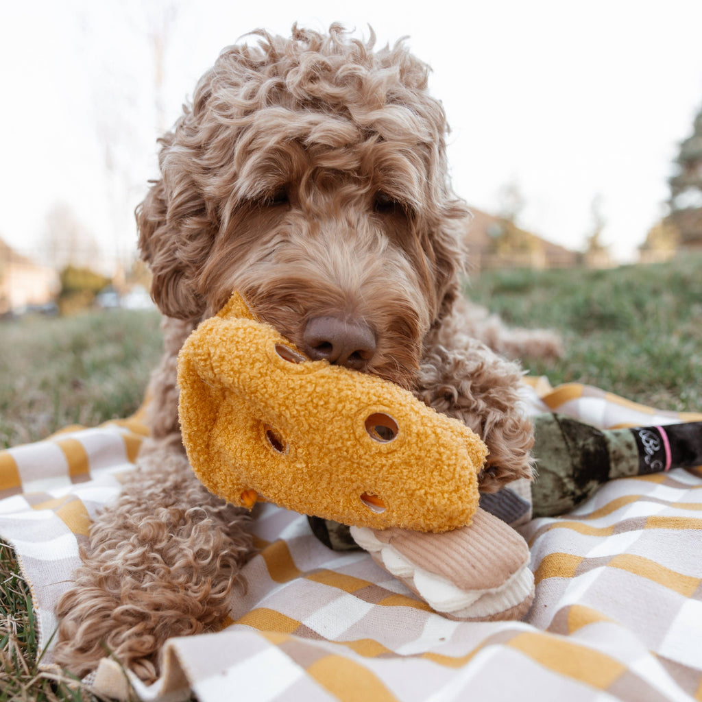 CHEESE //Enriching Toy
