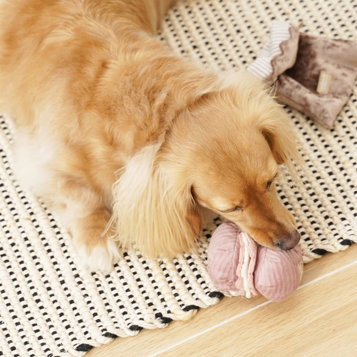 Gioco di arricchimento per cani di piccola taglia 2-in-1 – Lambwolf Collective