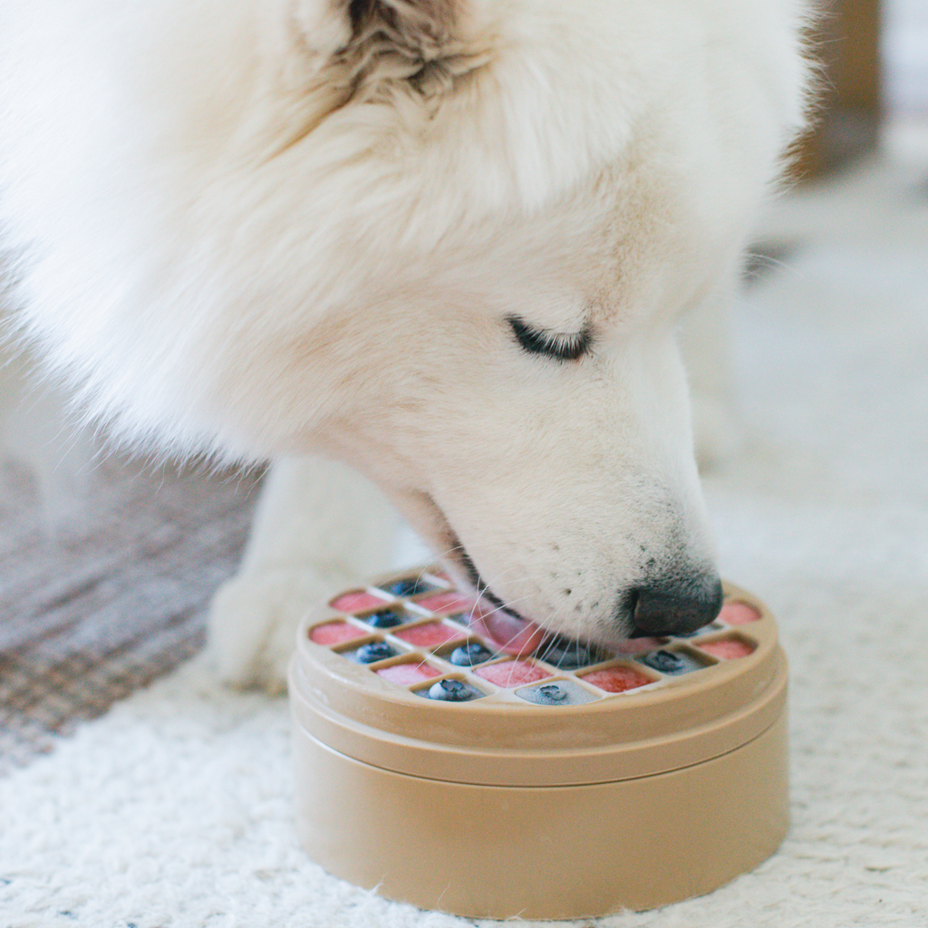 Lick Mat e Slow Feeder 3-in-1 BENTO Dune – Lambwolf Collective